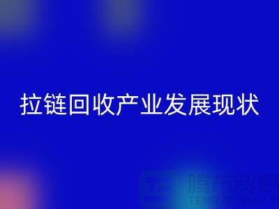 拉链安博网_安博(中国)产业发展现状特点及上海拉链安博网_安博(中国)厂家解析 