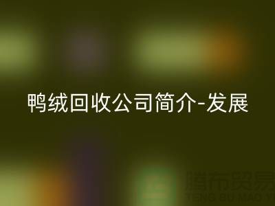 鸭绒安博网_安博(中国)公司简介-发展背景-业务范围-技术优势-鹅绒安博网_安博(中国)厂家
