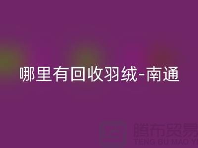 哪里有安博网_安博(中国)羽绒-南通-无锡长泾-江阴鸭绒鹅绒安博网_安博(中国)厂家电话
