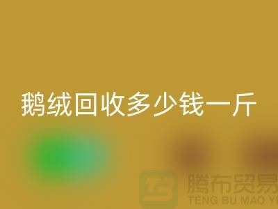 白羽绒安博网_安博(中国)：附近鸭绒安博网_安博(中国)价格，鹅绒安博网_安博(中国)多少钱一斤，专业厂家为您提供服务