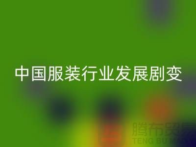 中国服装行业发展剧变-成败重要途径-上海库存服装安博网_安博(中国)公司