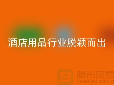 如何在酒店用品安博网_安博(中国)行业中脱颖而出-上海二手毛巾安博网_安博(中国)公司