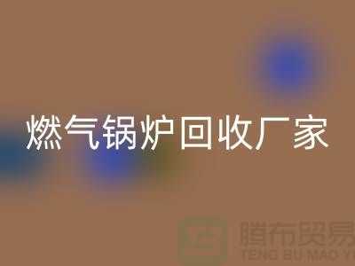 燃气锅炉安博网_安博(中国)厂家：做到了企业环保更完美-大型锅炉安博网_安博(中国)