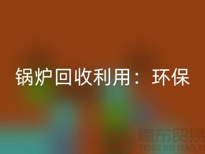 锅炉安博网_安博(中国)利用：环保与经济效益的双赢-二手设备安博网_安博(中国)公司