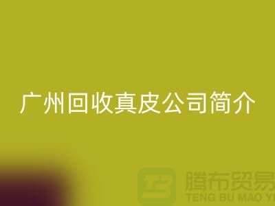 真皮安博网_安博(中国)厂家介绍-市场价格浮动不定-广州安博网_安博(中国)真皮公司简介