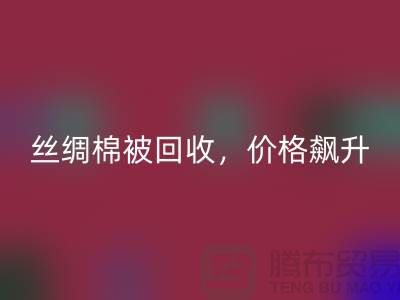 从废品到财富：丝绸棉被安博网_安博(中国)，价格飙升！