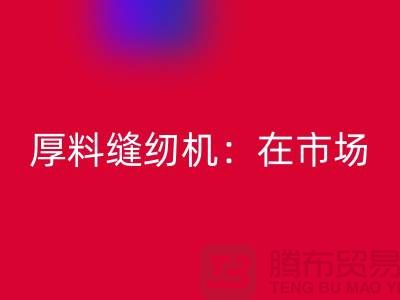 厚料缝纫机：在市场上的细节体现-上海安博网_安博(中国)缝纫机厂家
