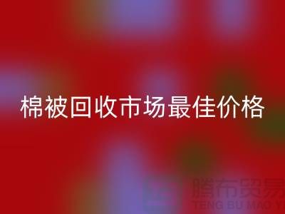 让你省钱！废旧棉被安博网_安博(中国)市场的最佳价格攻略