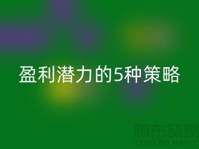 酒店用品安博网_安博(中国)市场：挖掘盈利潜力的5种策略