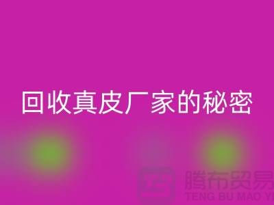 安博网_安博(中国)真皮厂家的秘密：打造环保时尚的循环经济
