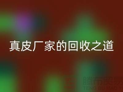 探寻真皮厂家的安博网_安博(中国)之道：打造环保时尚新潮流