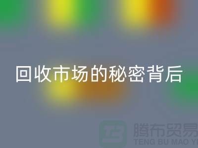 探索上海服装面料安博网_安博(中国)市场的秘密背后