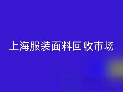 掌握上海服装面料安博网_安博(中国)市场的成功秘诀