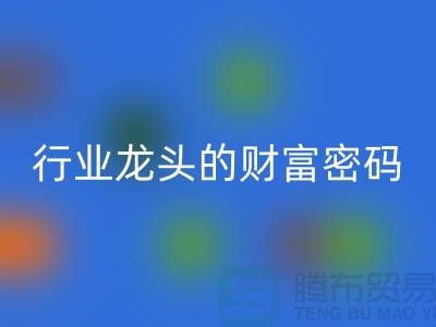 上海库存服装安博网_安博(中国)市场：揭秘行业龙头的财富密码与生态闭环