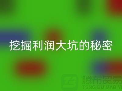 上海库存服装安博网_安博(中国)市场指南：挖掘利润大坑的秘密