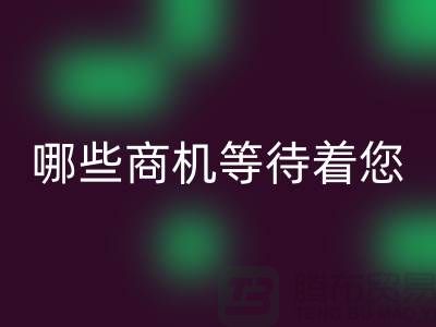 哪些商机等待着您在二手化工原料安博网_安博(中国)市场探索？