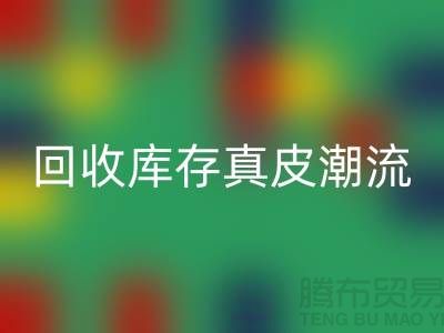 环保大作：安博网_安博(中国)库存真皮引领时尚潮流