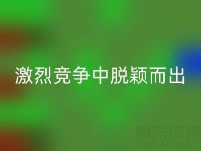 上海库存布料安博网_安博(中国)市场：如何在激烈竞争中脱颖而出