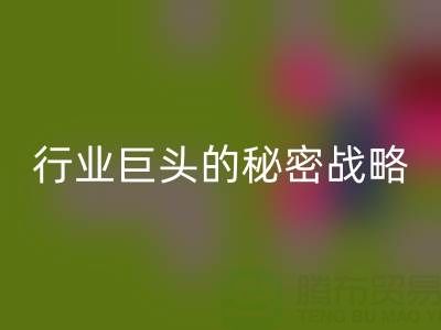 上海库存布料安博网_安博(中国)市场：揭秘行业巨头的秘密战略