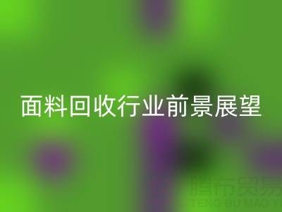 南通库存面料安博网_安博(中国)行业前景展望：开启新篇章