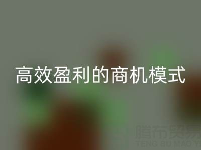 南通库存布料安博网_安博(中国)策略：打造高效盈利的商机模式