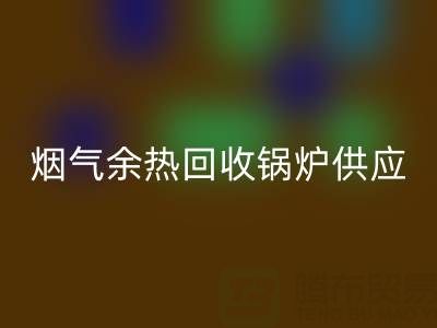烟气余热安博网_安博(中国)锅炉供应商盘点：行业领先企业及技术解析
