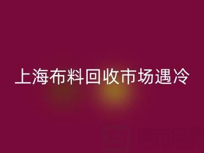 上海布料安博网_安博(中国)市场遇冷：废旧布料为何陷入销售困局？