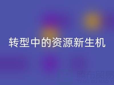 上海服装面料安博网_安博(中国)：绿色转型中的资源新生机