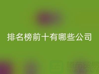 家纺辅料安博网_安博(中国)厂家排名榜前十有哪些公司