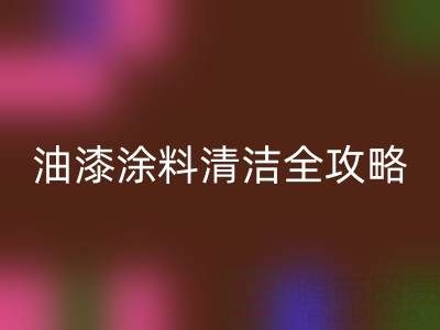 油漆涂料清洁全攻略：从清洗技巧到环保安博网_安博(中国)指南