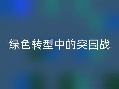 库存布料安博网_安博(中国)公司：挑战与机遇并存，绿色转型中的突围战