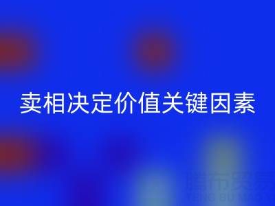 杭州真丝面料安博网_安博(中国)价格全解析：卖相决定价值的关键因素