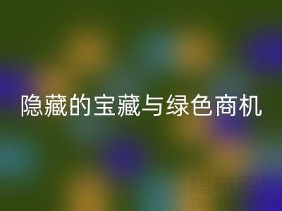 库存辅料安博网_安博(中国)市场：隐藏的宝藏与绿色商机