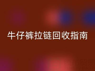 牛仔裤拉链安博网_安博(中国)指南：小行动，大环保
