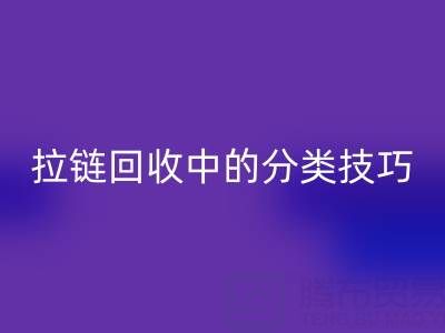 拉链安博网_安博(中国)中的分类技巧：提高安博网_安博(中国)效率的秘诀