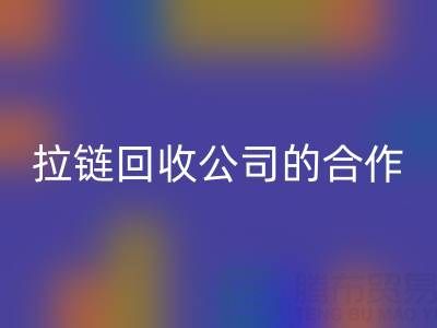 跨境电商时代：拉链安博网_安博(中国)公司的国际合作与交流新路径