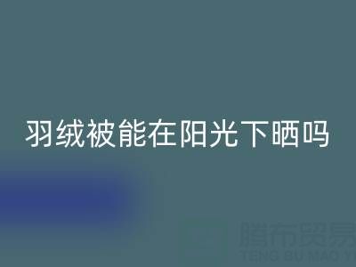 羽绒被能在阳光下晒吗？——上海鸭绒安博网_安博(中国)厂家揭秘