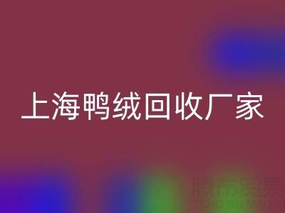 羽绒被内胆布料选购指南：上海鸭绒安博网_安博(中国)厂家的专业建议