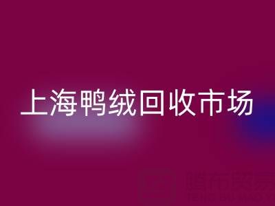 上海鸭绒安博网_安博(中国)市场解析：羽绒被安博网_安博(中国)价格的决定因素与产业价值